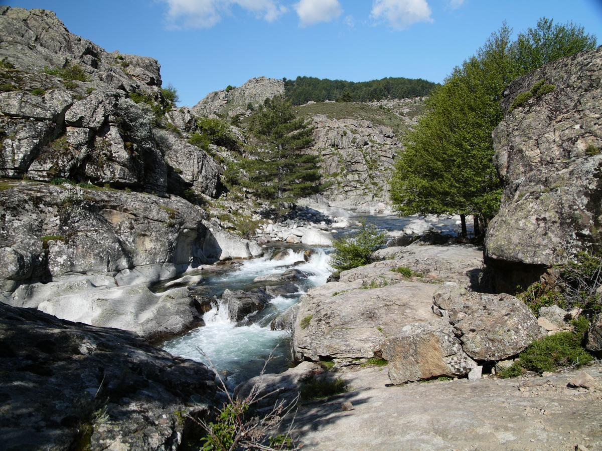 Castel De Vergio Albertacce Kültér fotó